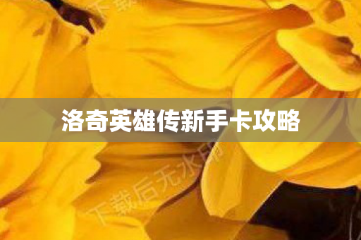 洛奇英雄传新手卡攻略图片