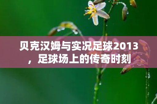 贝克汉姆与实况足球2013图片