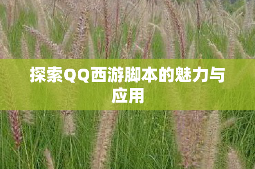探索QQ西游脚本的魅力与应用图片
