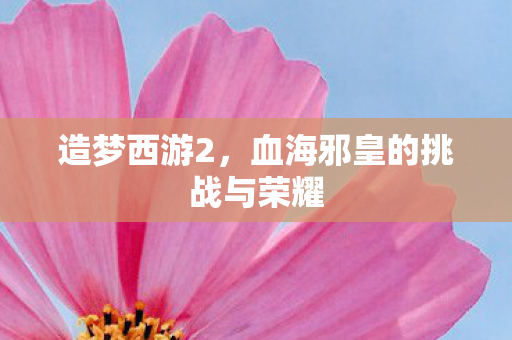血海邪皇的挑战与荣耀图片