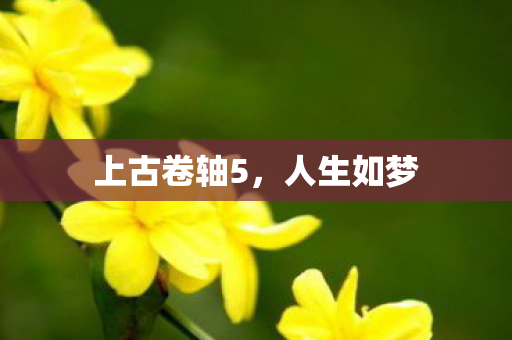 上古卷轴5图片