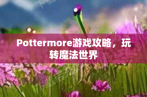Pottermore游戏攻略图片