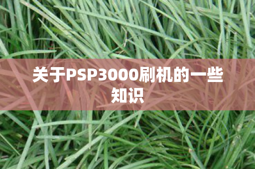 关于PSP3000刷机的一些知识图片