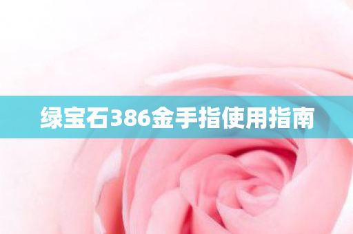 绿宝石386金手指使用指南图片