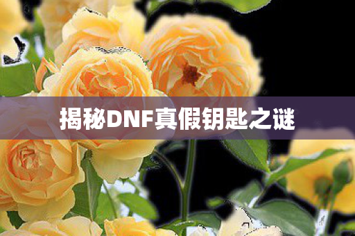 揭秘DNF真假钥匙之谜图片