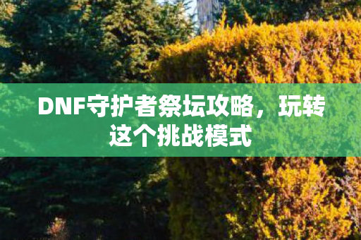 DNF守护者祭坛攻略图片