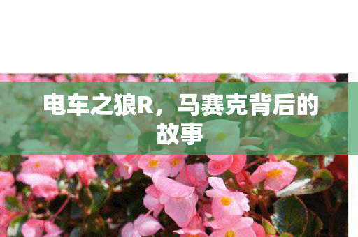 马赛克背后的故事图片