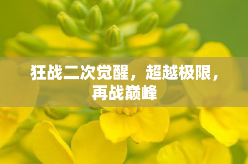 狂战二次觉醒图片