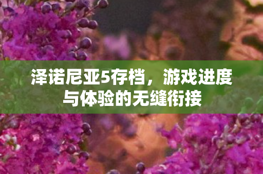 游戏进度与体验的无缝衔接图片