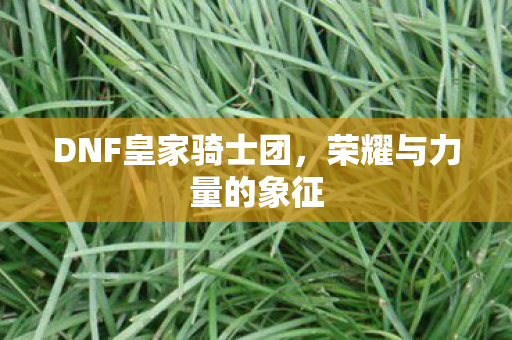 DNF皇家骑士团图片