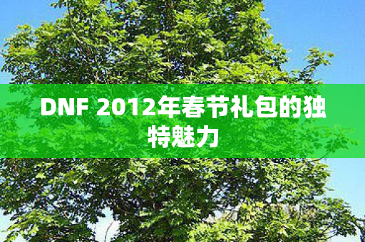 DNF 2012年春节礼包的独特魅力图片