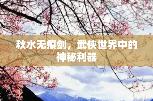 武侠世界中的神秘利器图片