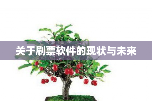 关于刷票软件的现状与未来图片