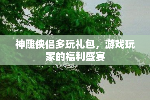 游戏玩家的福利盛宴图片