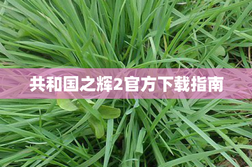 共和国之辉2官方下载指南图片