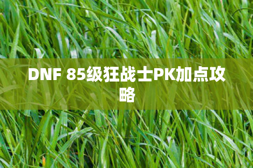 DNF 85级狂战士PK加点攻略图片