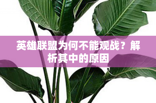 英雄联盟为何不能观战图片