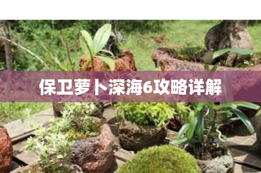 保卫萝卜深海6攻略详解图片