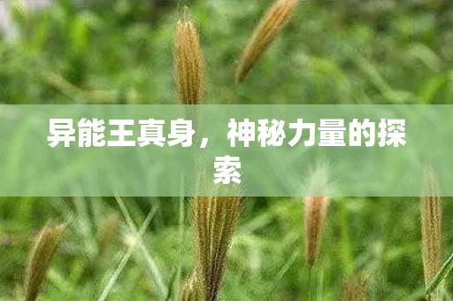 神秘力量的探索图片