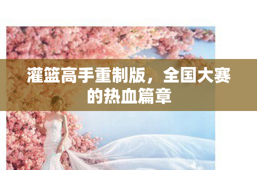 全国大赛的热血篇章图片
