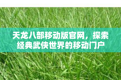 探索经典武侠世界的移动门户图片