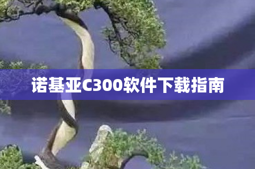 诺基亚C300软件下载指南图片