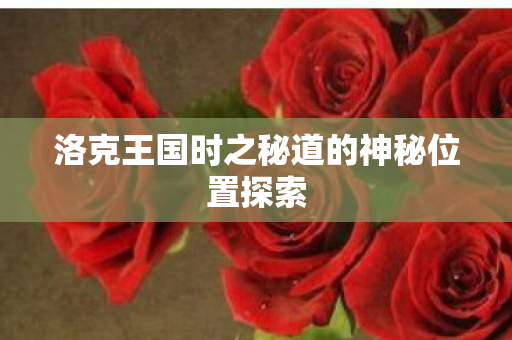 洛克王国时之秘道的神秘位置探索图片