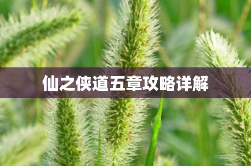 仙之侠道五章攻略详解图片