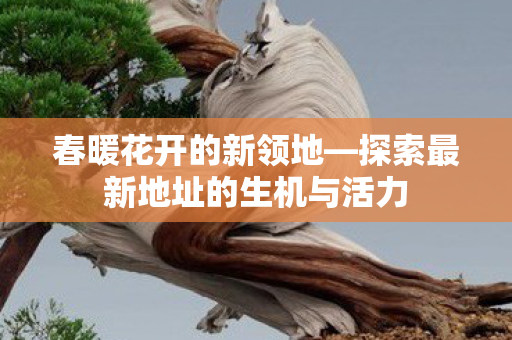 探索最新地址的生机与活力图片