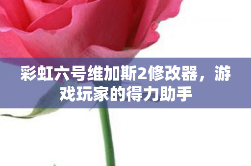 彩虹六号维加斯2修改器图片