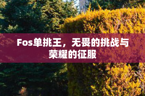 无畏的挑战与荣耀的征服图片