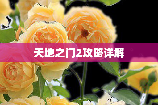 天地之门2攻略详解图片