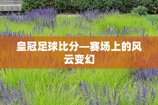赛场上的风云变幻图片