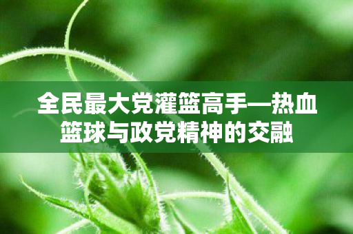 热血篮球与政党精神的交融图片