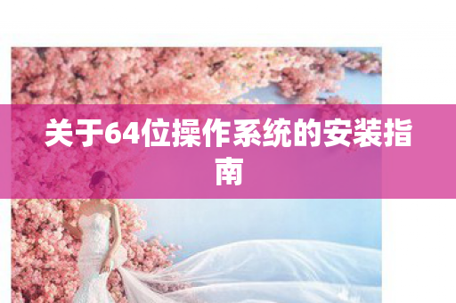 关于64位操作系统的安装指南图片