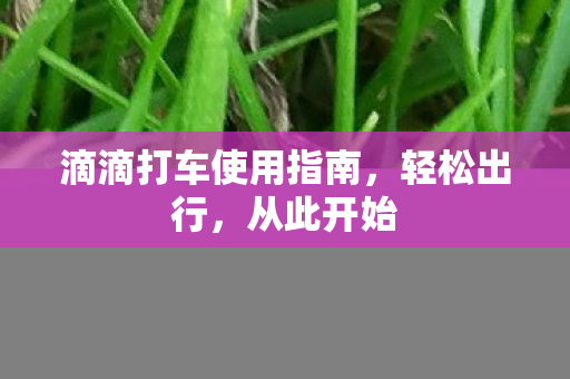 滴滴打车使用指南图片