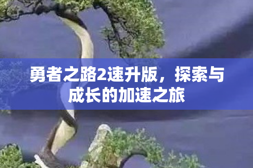 探索与成长的加速之旅图片