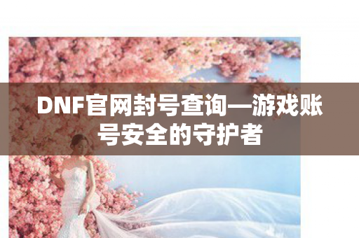 游戏账号安全的守护者图片
