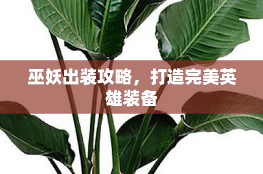 打造完美英雄装备图片