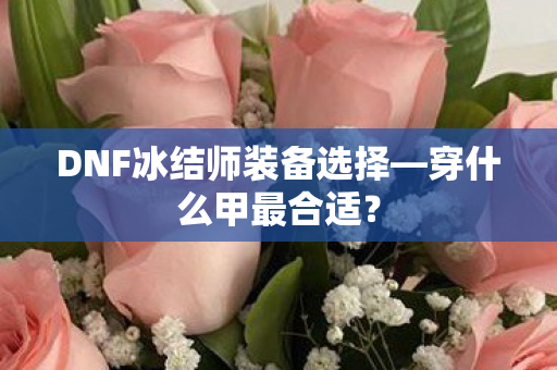 DNF冰结师装备选择图片