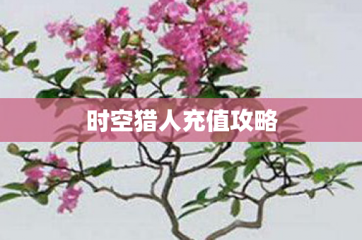 时空猎人充值攻略图片