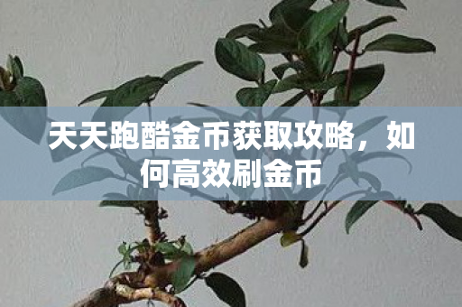 天天跑酷金币获取攻略图片
