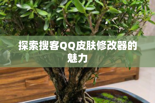 探索搜客QQ皮肤修改器的魅力图片