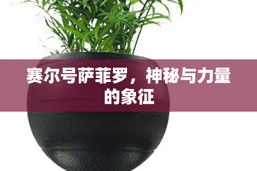 神秘与力量的象征图片