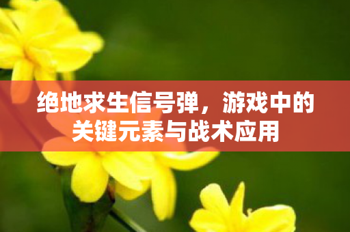 游戏中的关键元素与战术应用图片