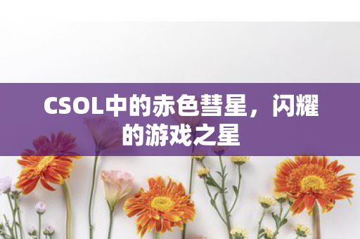 CSOL中的赤色彗星图片