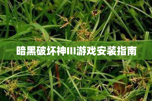 暗黑破坏神III游戏安装指南图片