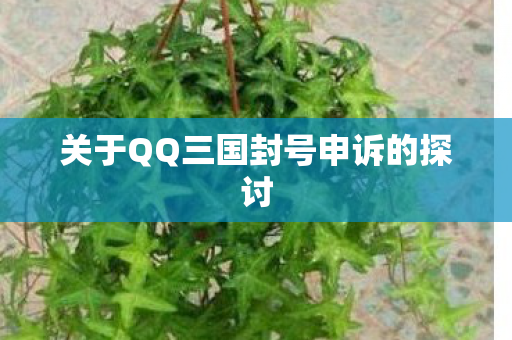 关于QQ三国封号申诉的探讨图片