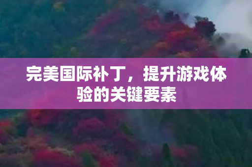 提升游戏体验的关键要素图片