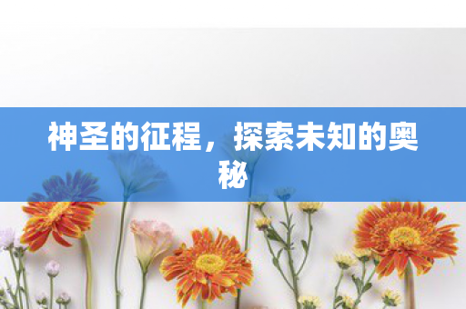探索未知的奥秘图片